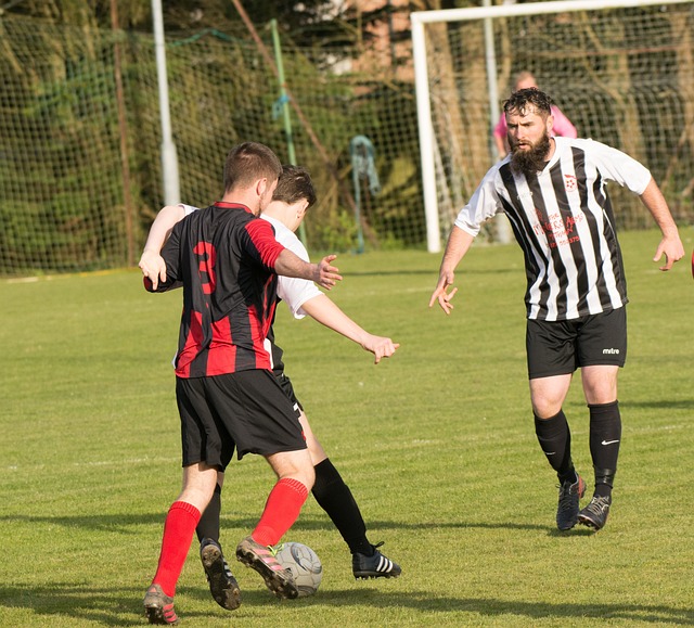 则利用机会 则利用机会