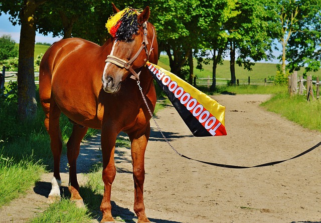 开市场化 开市场化