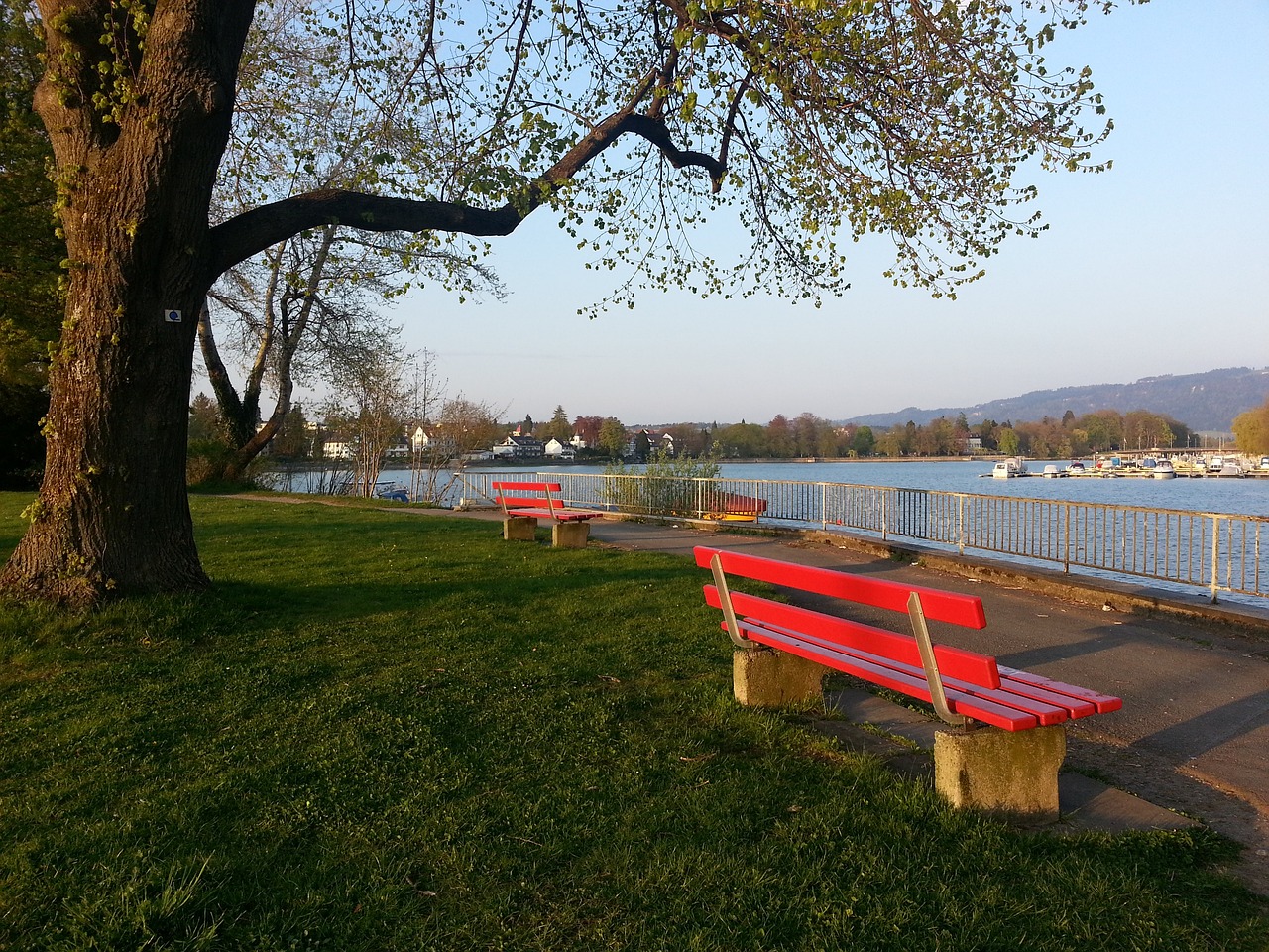 还可以在未 还可以在未