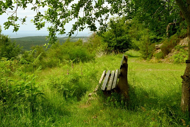到哈姆如何 到哈姆如何